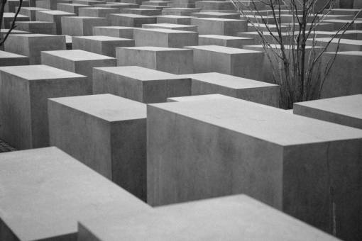 blocks  plants  concrete  architecture  black and white
