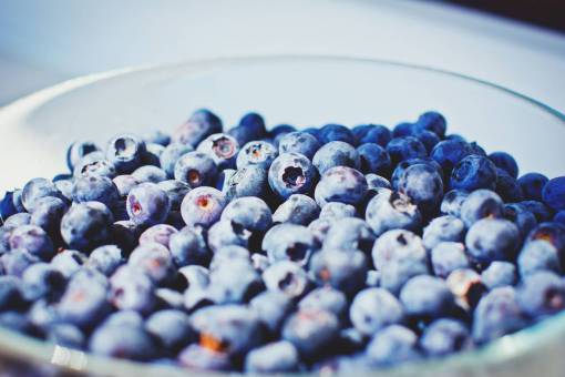 blueberries blueberries  fruits  bowl  healthy  food
