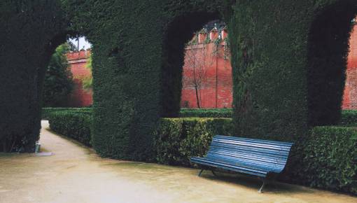 courtyard courtyard  bench  shrubs  path  walkway
