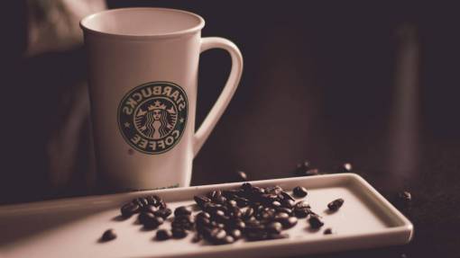 semilla taza taza café semillas frijoles café starbucks