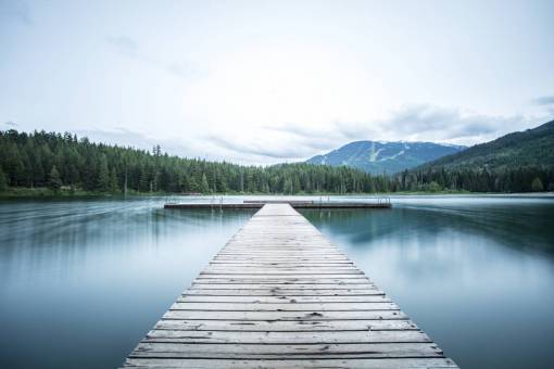 dock  lake  water  trees  forest  woods  nature