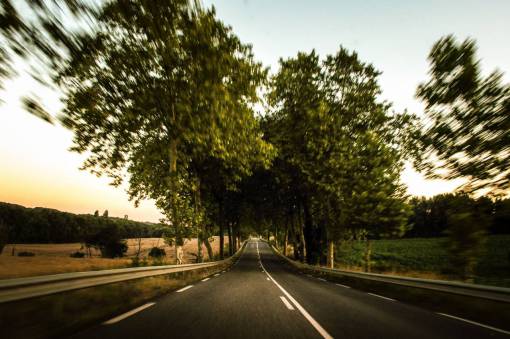 rail-transportation empty  road  guard rail  trees  rural  country  fields
