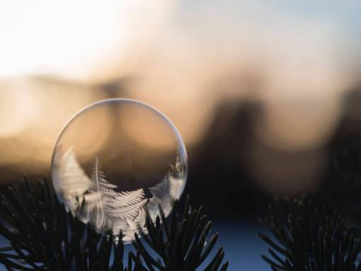 catcher feather  dream catcher  nature  leaves  bokeh
