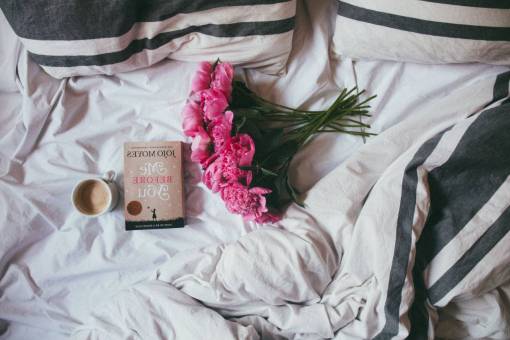 sheet-music flowers  bouquet  pink  blossom  plant  nature  bed
