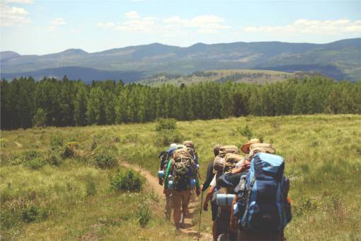 hiker hiking  hikers  backpacks  backpacking  grass  fields trees  forest