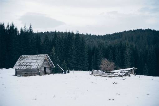 hut hut  shed  winter  snow  cold  trees  forest