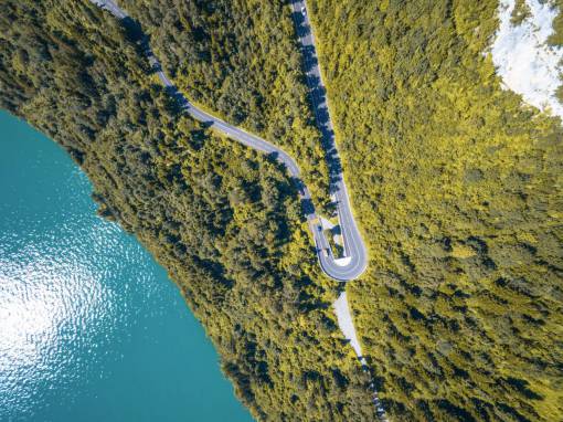 lake  blue  water  green  trees  plants  landscape