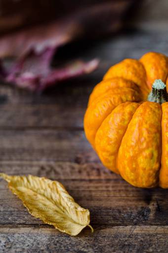 calabaza hojas calabaza halloween otoño otoño madera planta
