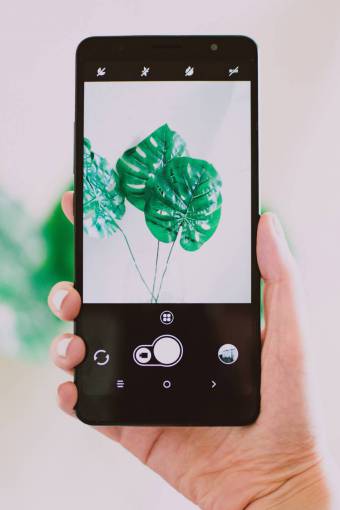 aplicacion fotografía móvil planta verde naturaleza dispositivo tecnología