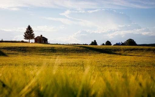 nature  grass  plains  sky  clouds  countryside  house