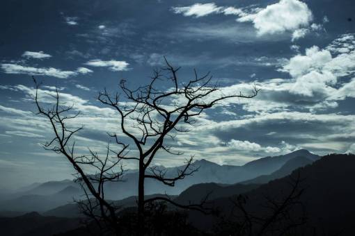 nature  landscape  mountains  slope  summit  peaks  trees
