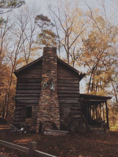 nature  trees  autumn  house  home  woods  stones