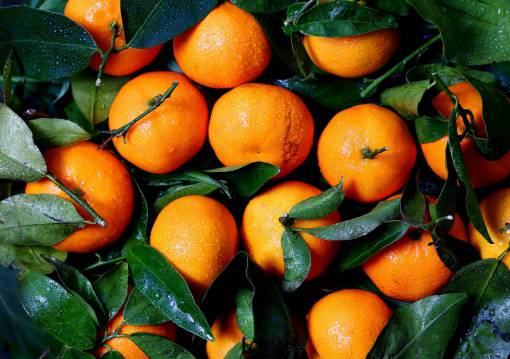 humedo naranjas frutas cítricos vitaminas jugoso comida verde