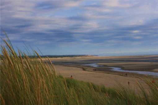 puddle plants  beach  puddles  sand  dry  people  blue