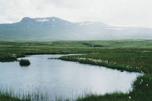 pond pond  water  fields  green  grass  mountains  hills