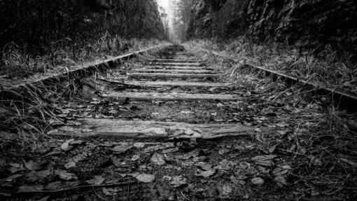 carril pista tren hierba bosque de madera en blanco y negro