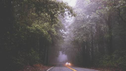headlights road  fog  mist  car  driving  headlights  pavement