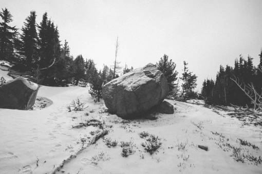 bold rock  bolder  trees  snow  nature
