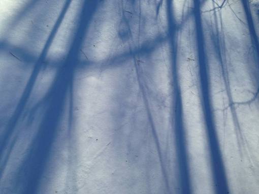 nevado Sombras Nieve Resumen Azul Ramas Luz Fría