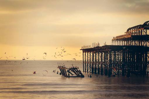 volador cielo puesta de sol pájaros volando muelle muelle de madera