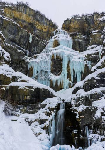 nieve invierno blanco clima frío hielo árboles