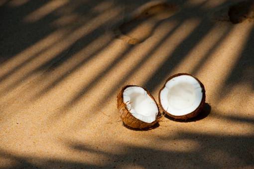 nut-food split  coconut  sand  travel  vacation  food  fruit