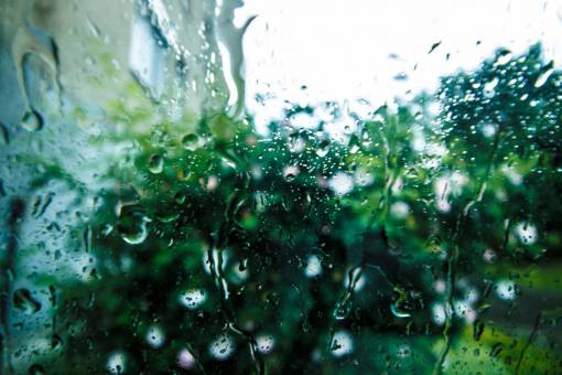 still  items  things  windows  pane  glass  rain