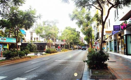 almacenamiento calle acera tiendas tiendas árboles carretera ciudad