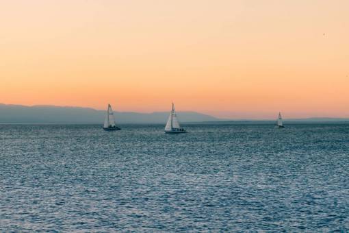 sailboat sunset  sky  sailboats  lake  water  horizon
