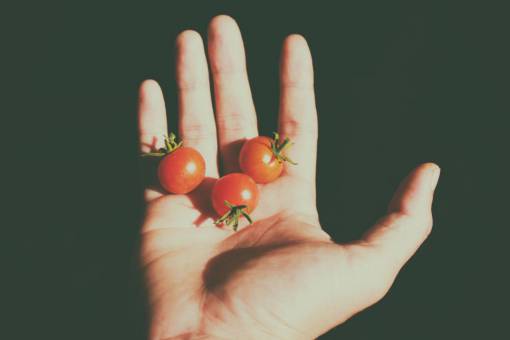 tiny-house tomatoes  tiny  hand  fruits  food  shadow  lights
