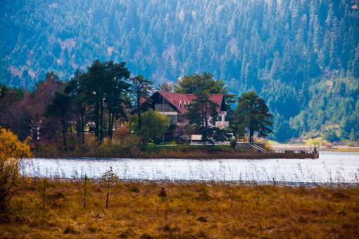 árvores floresta lago água casa campos grama