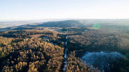 trees  plant  lake  water  aerial  view  cloud