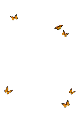  animal illustration flying overlay png Butterfly isolated