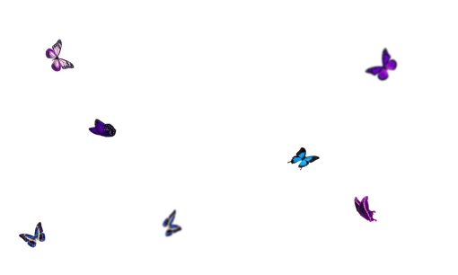  animal png isolated illustration nature Butterfly overlay