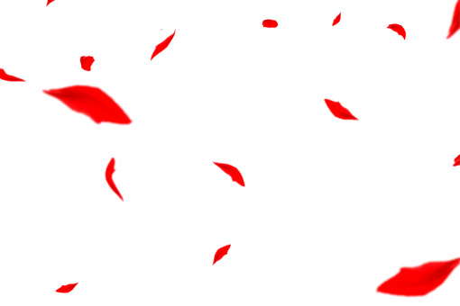 collect  Autumn Leaves illustration vector symbol png design overlay