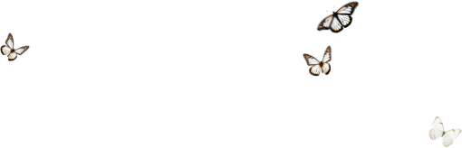 14-15-years  Butterfly equipment isolated png overlay