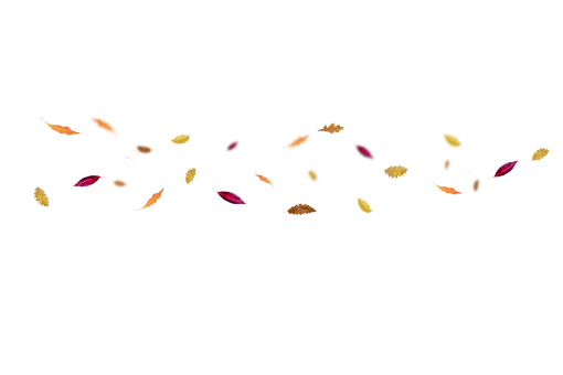collect  design vector illustration overlay png backgrounds Autumn Leaves