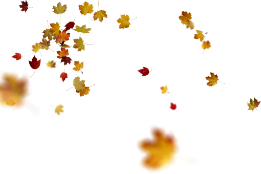 🥇 Image of backgrounds png design overlay Autumn Leaves vector ...