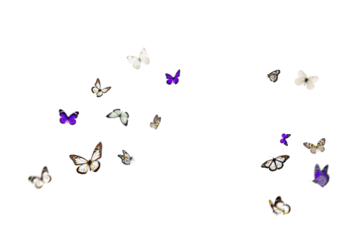 butte Sobreposição De Borboleta PNG