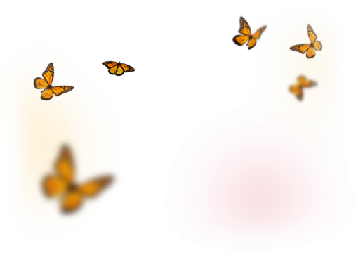  overlay png nature butterfly insect Butterfly animal