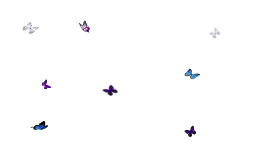 collect  symbol animal nature png isolated overlay Butterfly