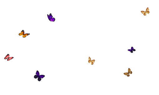 🥇 Image of backgrounds png illustration overlay Butterfly vector design ...