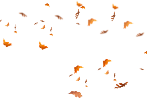 vector overlay Autumn Leaves png pattern illustration backgrounds