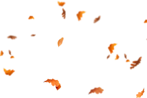 collect  vector overlay pattern Autumn Leaves illustration symbol png