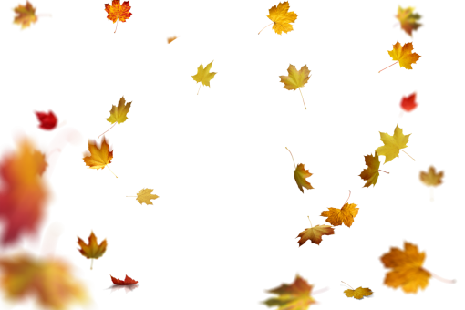  vector overlay png illustration backgrounds pattern Autumn Leaves