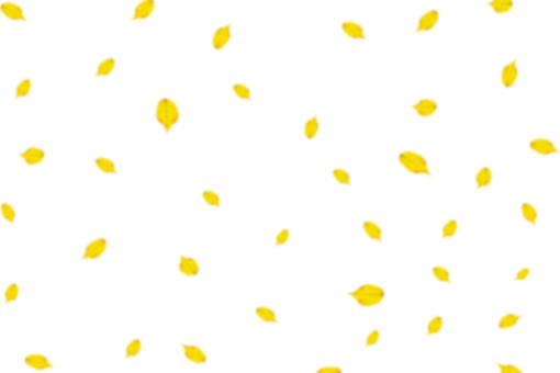  yellow pattern nature png backgrounds overlay Autumn Leaves