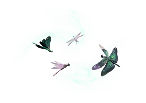 dragon  Dragonfly Clipart Overlay PNG