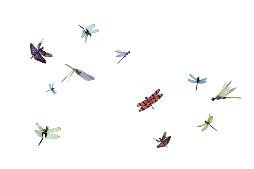 dragon  Dragonfly Clipart Overlay PNG