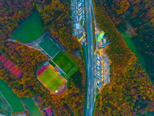 aerial  view  autumn  fall  trees  plant  nature