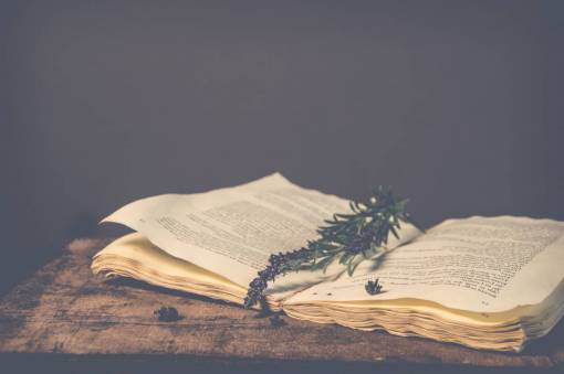 palabra libro antiguo mesa lavanda leer escribir palabras